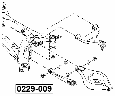 0229-009 - CAMBER ADJUSTING ECCENTRIC BOLT