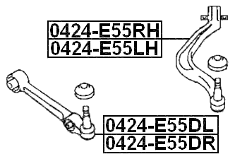 0424-E55RH - RIGHT LOWER FRONT ARM