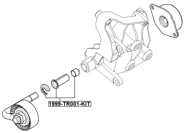 1999-TR001-KIT - BUSH BEARING KIT, BELT TENSIONER
