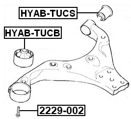 2229-002 - BOLT