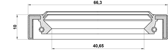 95IAS-42661010X - DRIVE SHAFT OIL SEAL 40.65X66.3X10