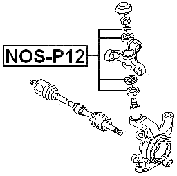 NOS-P12 - STEERING KNUCKLE REPAIR KIT 4 PCS