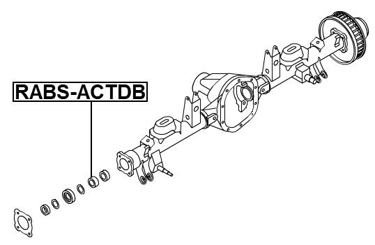 RABS-ACTDB - RING ABS