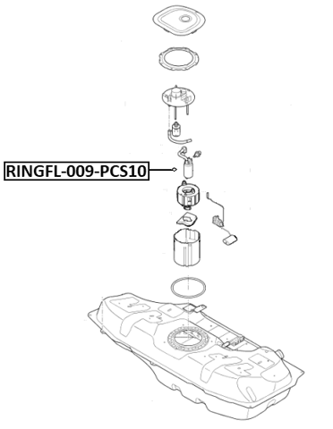 RINGFL-009-PCS10 - O-RING FUEL PUMP PCS 10