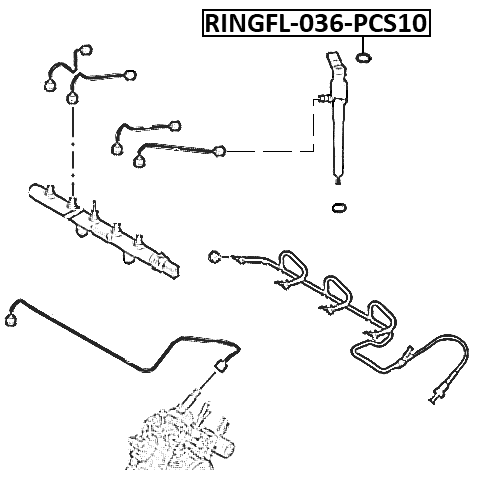 RINGFL-036-PCS10 - O-RING FUEL INJECTOR PCS 10