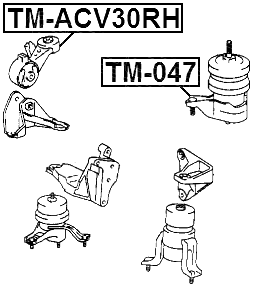 TM-ACV30RH - RIGHT ENGINE MOUNT