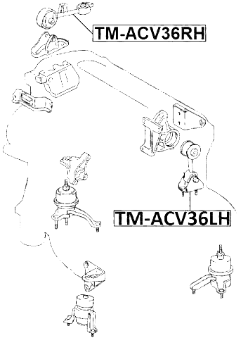 TM-ACV36LH - LEFT ENGINE MOUNT