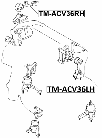 TM-ACV36RH - RIGHT ENGINE MOUNT