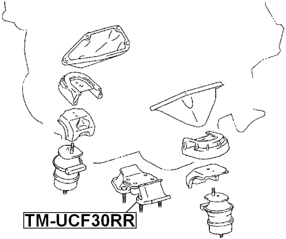 TM-UCF30RR - REAR ENGINE MOUNT
