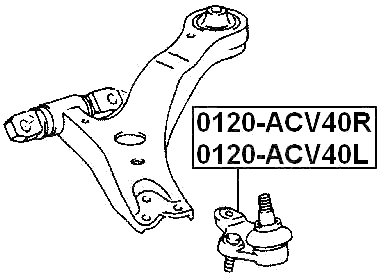 0120-ACV40L - FRONT LOWER BALL JOINT LEFT