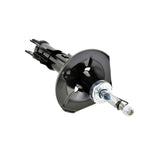 01665181FL - SHOCK ABSORBER FRONT LEFT Suspension, Shock Absorbers