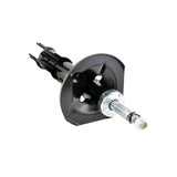 01665182FR - SHOCK ABSORBER FRONT RIGHT Suspension, Shock Absorbers