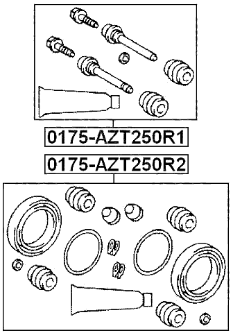 0175-AZT250R2 - REAR BRAKE CALIPER REPAIR KIT (SET FOR TWO SIDES)