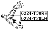 0224-T30RH - RIGHT FRONT ARM
