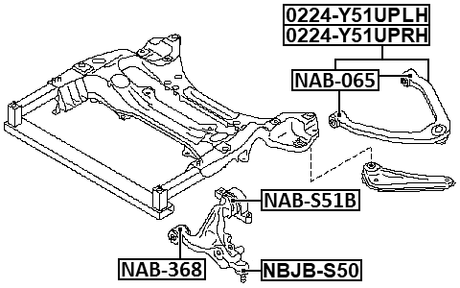0224-Y51UPRH - RIGHT UPPER FRONT ARM