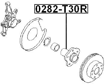 0282-T30R - REAR WHEEL HUB WITHOUT BEARING