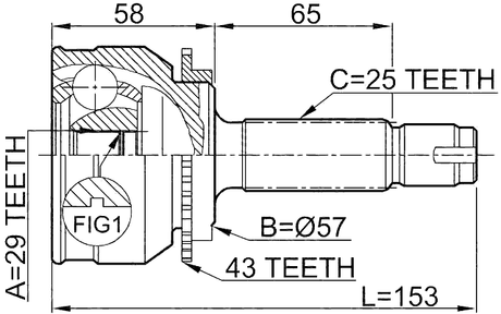 0410-038A43 - OUTER CV JOINT 29X57X25