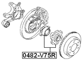 0482-V75R - REAR WHEEL HUB