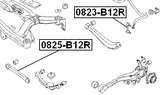 0825-B12R - REAR TRANSVERSE LINK