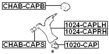 1024-CAPRH - RIGHT FRONT ARM