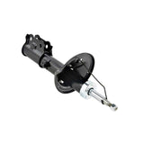 12666694FL - SHOCK ABSORBER FRONT LEFT Suspension, Shock Absorbers