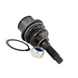 2020-RAMFLOW - BALL JOINT FRONT LOWER ARM Suspension, Ball Joints