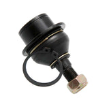 2120-TR - BALL JOINT FRONT LOWER ARM Suspension, Ball Joints