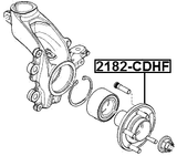 2182-CDHF - FRONT WHEEL HUB