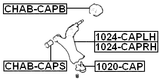 CHAB-CAPB - REAR BUSHING WITH BRACKET, FRONT CONTROL ARM (HYDRO)