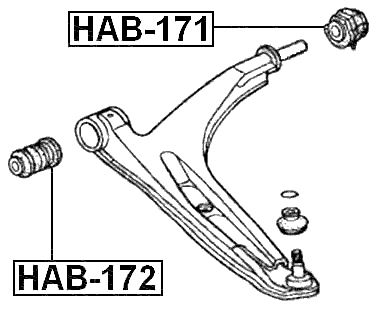 HAB-171 - REAR BUSHING, FRONT CONTROL ARM