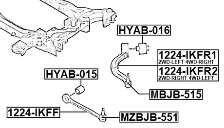 HYAB-016 - BUSHING, FRONT LOWER CONTROL ARM