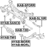 HYAB-MORL - BUSHING LEFT, REAR TRAILING ARM
