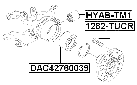 HYAB-TM1 - REAR KNUCKLE BUSHING
