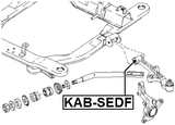 KAB-SEDF - BUSHING, FRONT LOWER CONTROL ARM