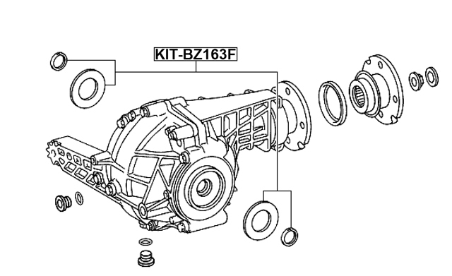 KIT-BZ163F - DIFFERENTIAL-PINION SEAL (SET OF TWO)