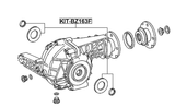 KIT-BZ163F - DIFFERENTIAL-PINION SEAL (SET OF TWO)