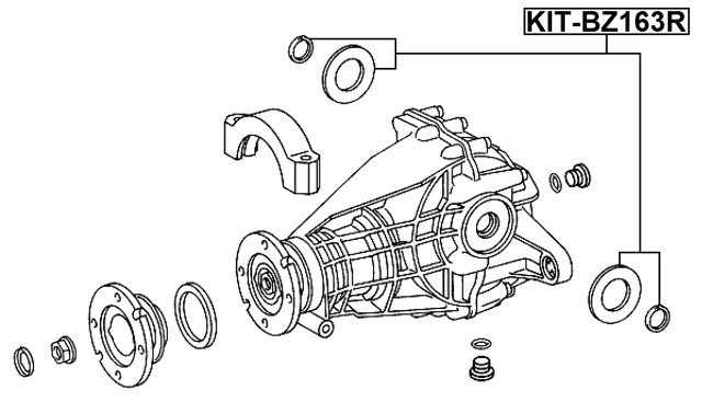 KIT-BZ163R - REAR DIFFERENTIAL-PINION SEAL (SET OF TWO)