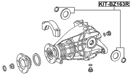 KIT-BZ163R - REAR DIFFERENTIAL-PINION SEAL (SET OF TWO)