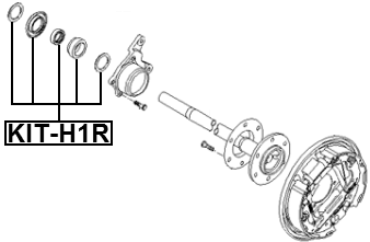 KIT-H1R - REAR AXLE SHAFT BEARING KIT