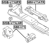 MSB-V75LWR - ENGINE FRONT CROSS MEMBER BUSHING