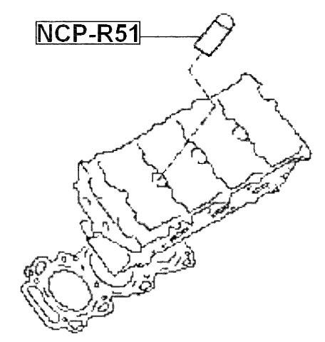 NCP-R51 - SEAL RING, SPARK PLUG TUBE