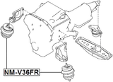 NM-V36FR - FRONT ENGINE MOUNT (HYDRO)