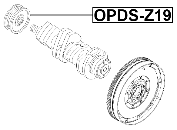 OPDS-Z19 - CRANKSHAFT PULLEY Z19