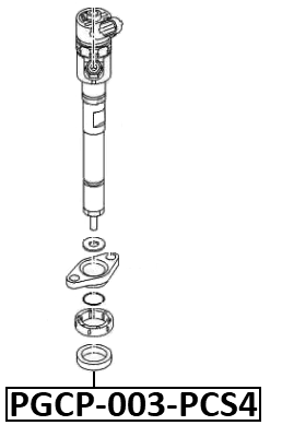 PGCP-003-PCS4 - O-RING FUEL INJECTOR PCS 4