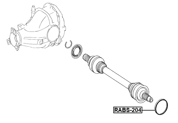 RABS-204 - RING ABS