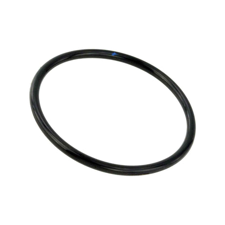 RINGAH-010 - THROTTLE BODY O-RING Rubber Parts, Sealing Rings