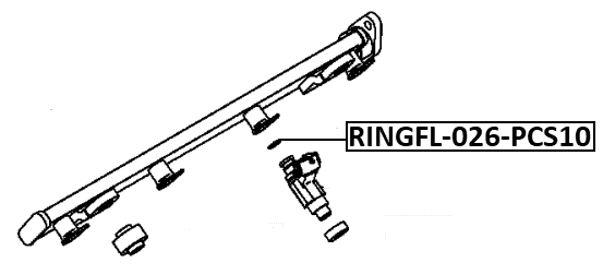 RINGFL-026-PCS10 - O-RING FUEL INJECTOR PCS 10