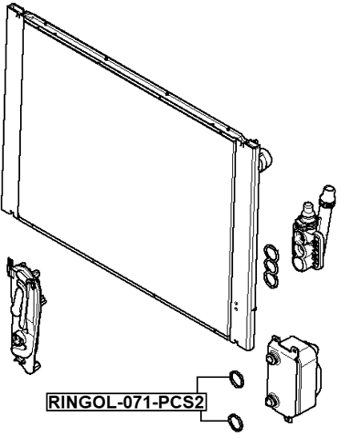 RINGOL-071-PCS2 - OIL COOLER SEAL RING PCS 2