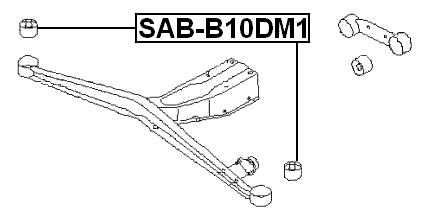 SAB-B10DM1 - REAR CROSSMEMBER BUSHING