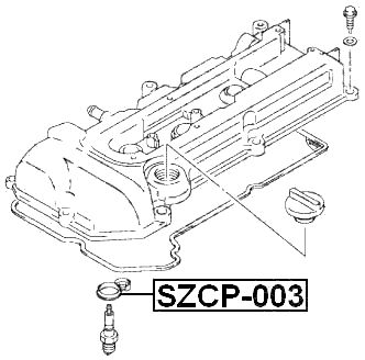 SZCP-003 - SEAL RING, SPARK PLUG TUBE